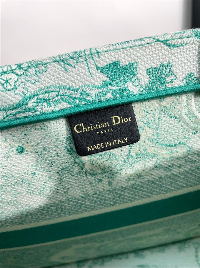 2025228Y580P203753310