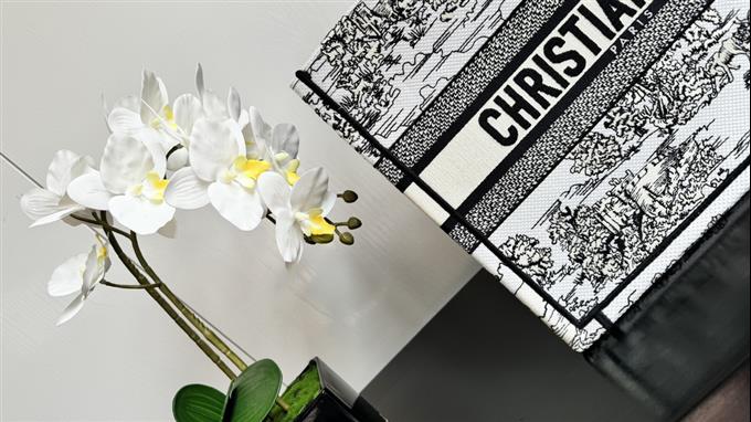 2025228Y580P203810655