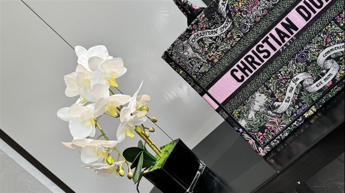 2025228Y580P203811522