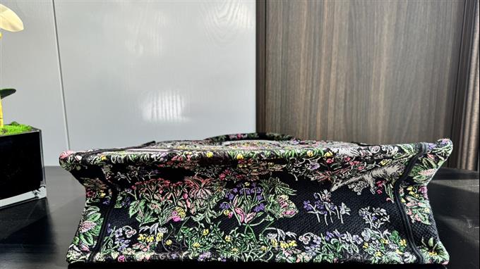 2025228Y580P203811585