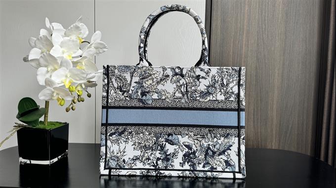 2025228Y580P203812261