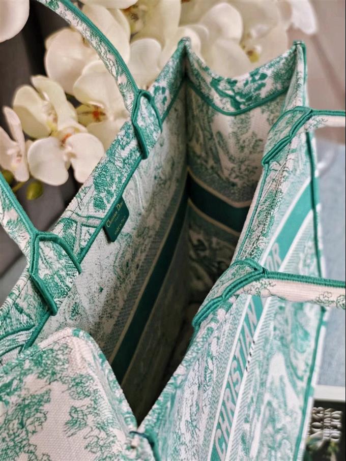 2025228Y580P203813293