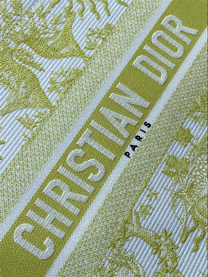 2025228Y580P203813482