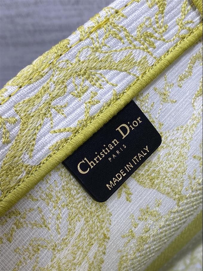 2025228Y580P203813591