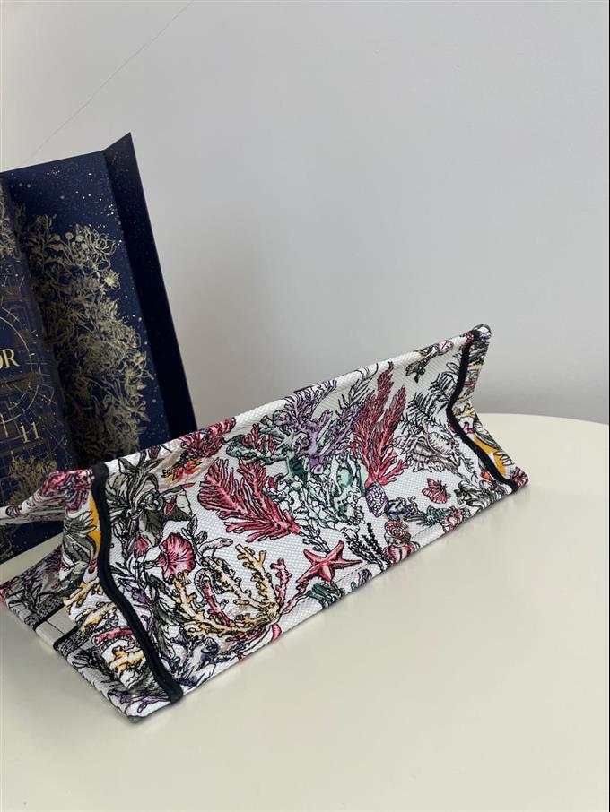 2025228Y580P21220153