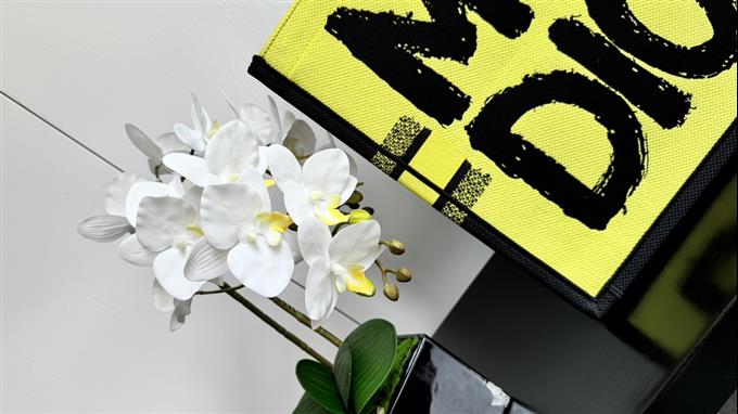 2025228Y600P203756899