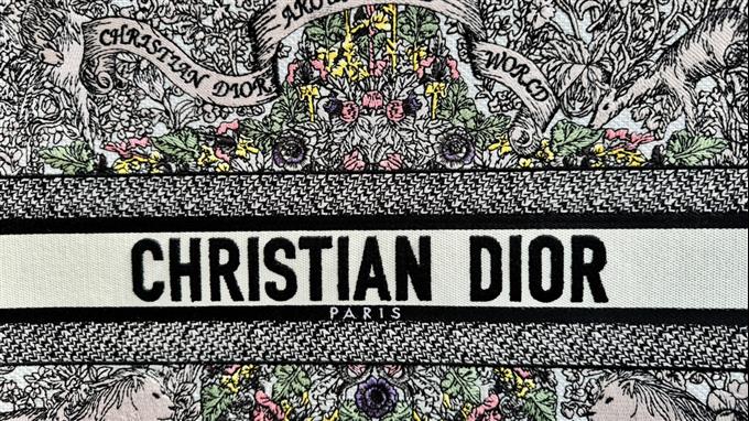 2025228Y600P203820706