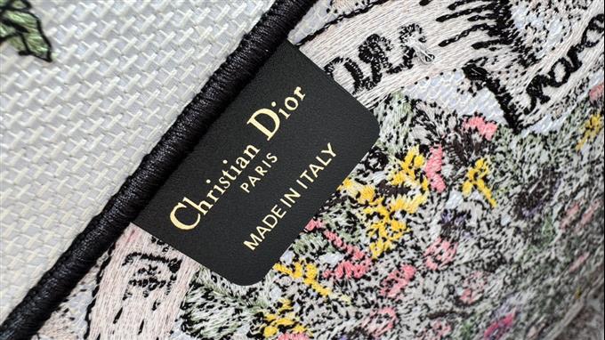 2025228Y600P203820817