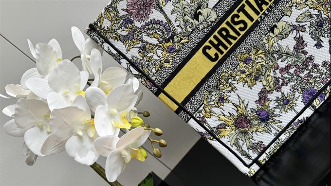 2025228Y600P203821718