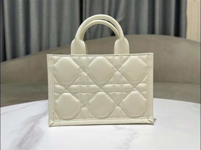 2025228Y600P203821894