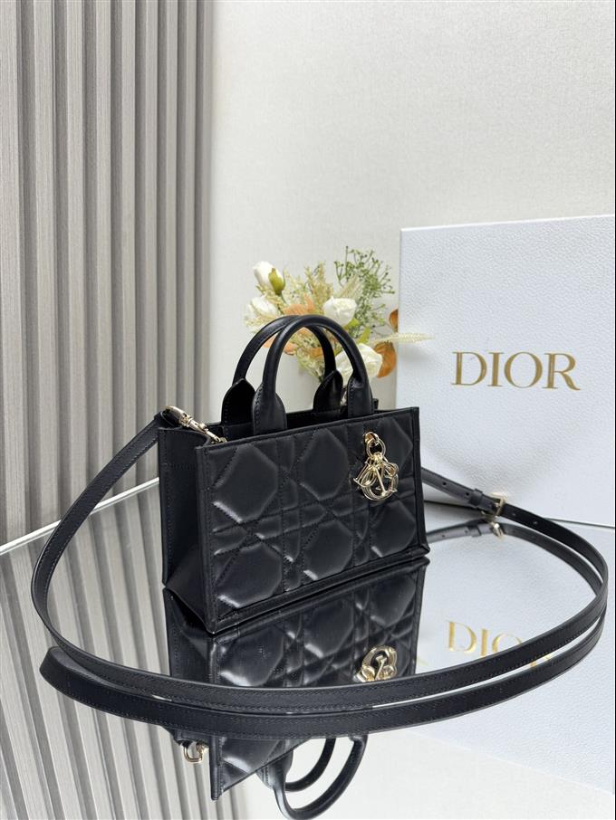 2025228Y600P203822720