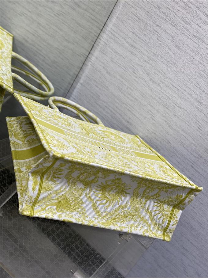 2025228Y600P203823333