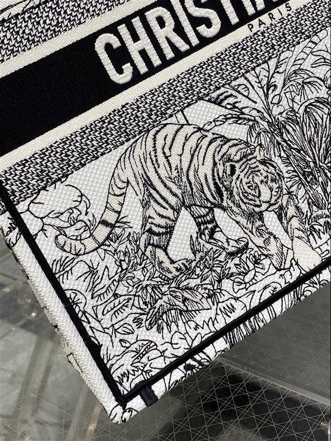 2025228Y600P203825964