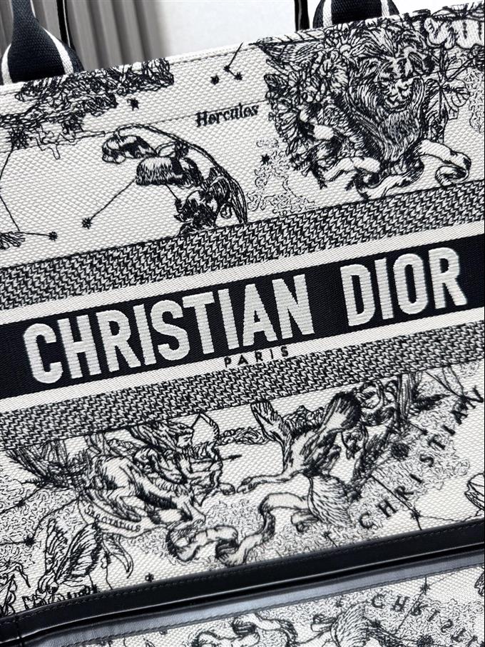 2025228Y700P203829367