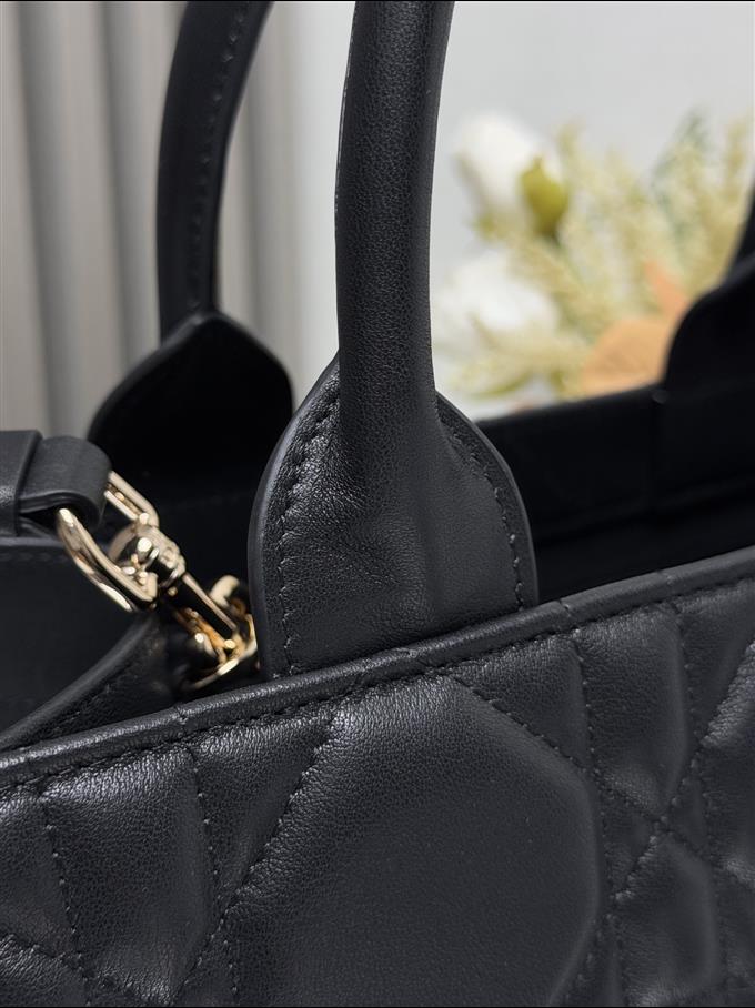 2025228Y750P203829665