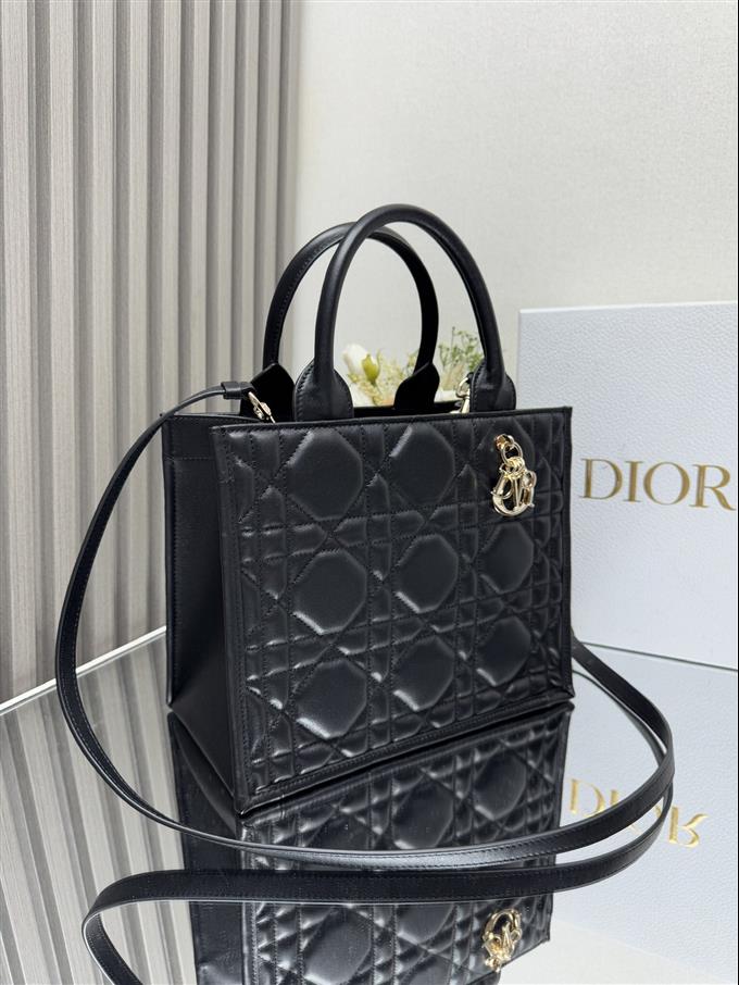 2025228Y750P203829681