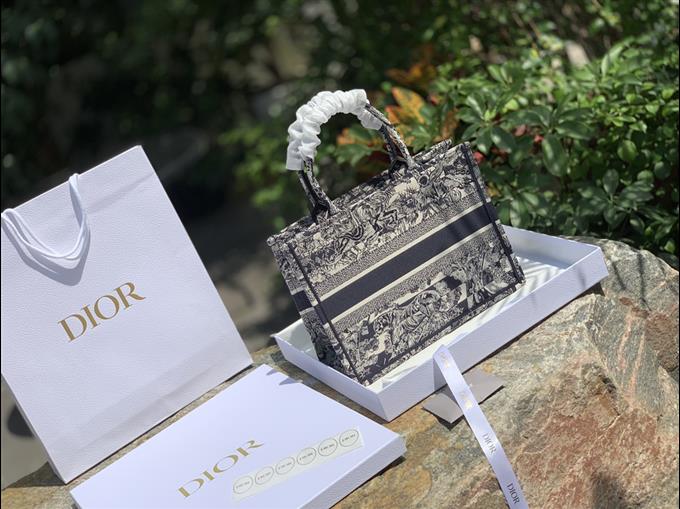 2025228Y750P212146684