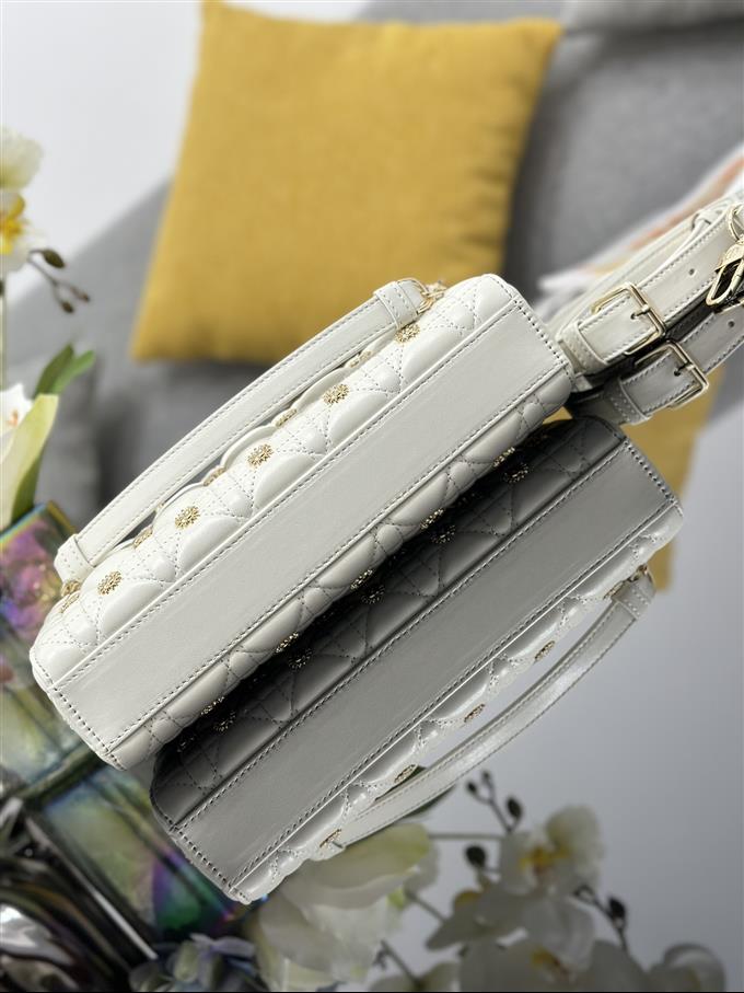 2025228Y920P204516938