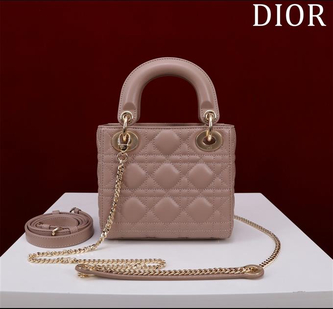 2025228Y600P205550101