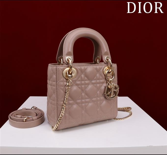 2025228Y600P205550117