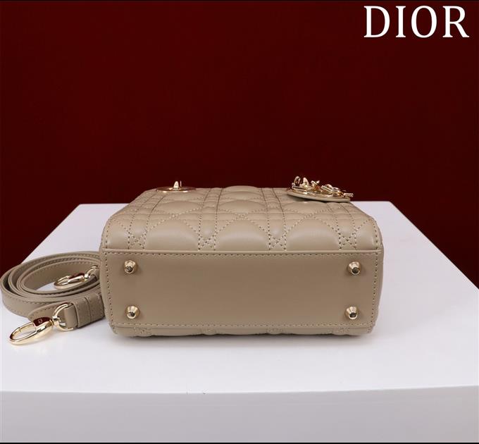 2025228Y600P205550274