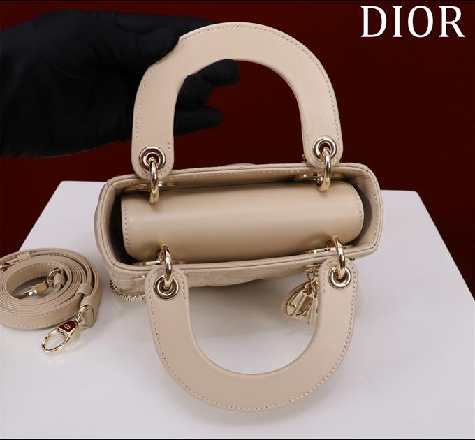 2025228Y600P205550433