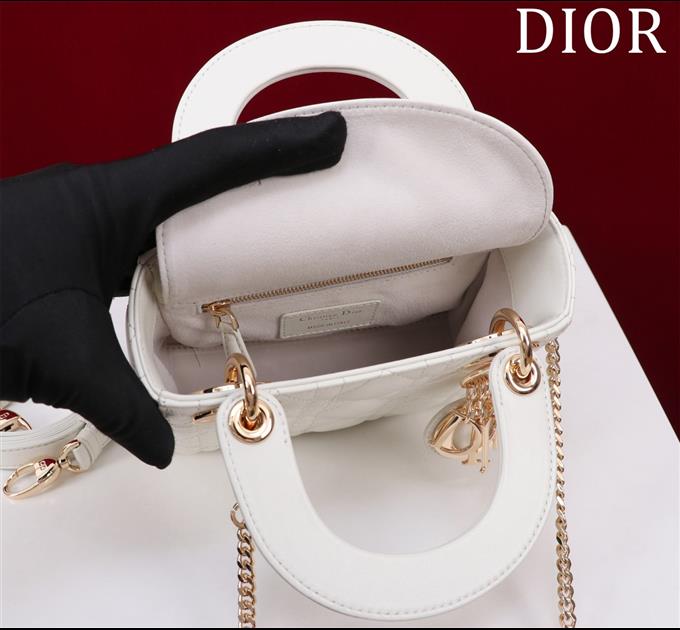 2025228Y600P205550589