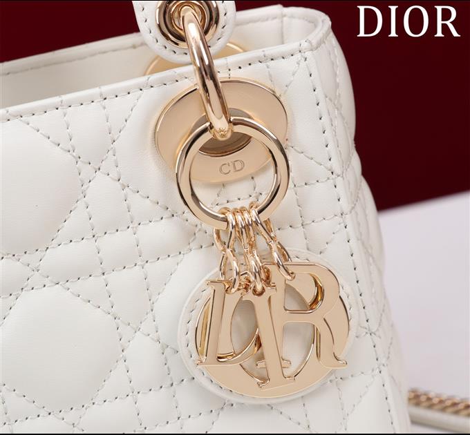 2025228Y600P205550604