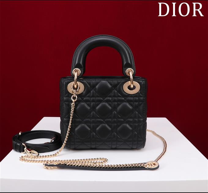 2025228Y600P205550682