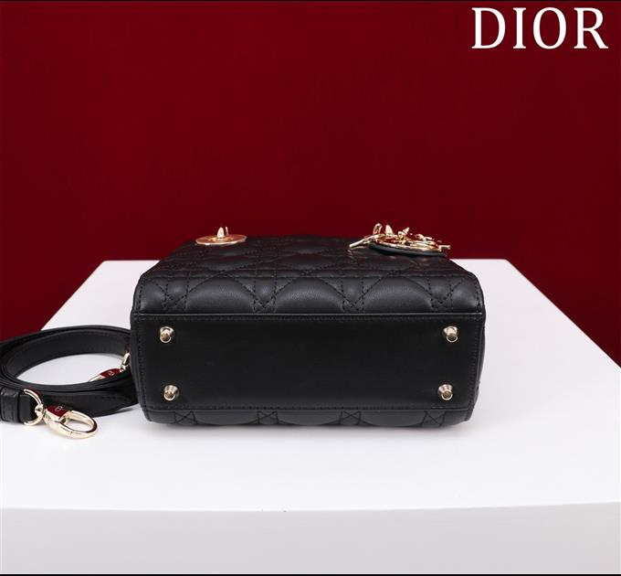 2025228Y600P205550698