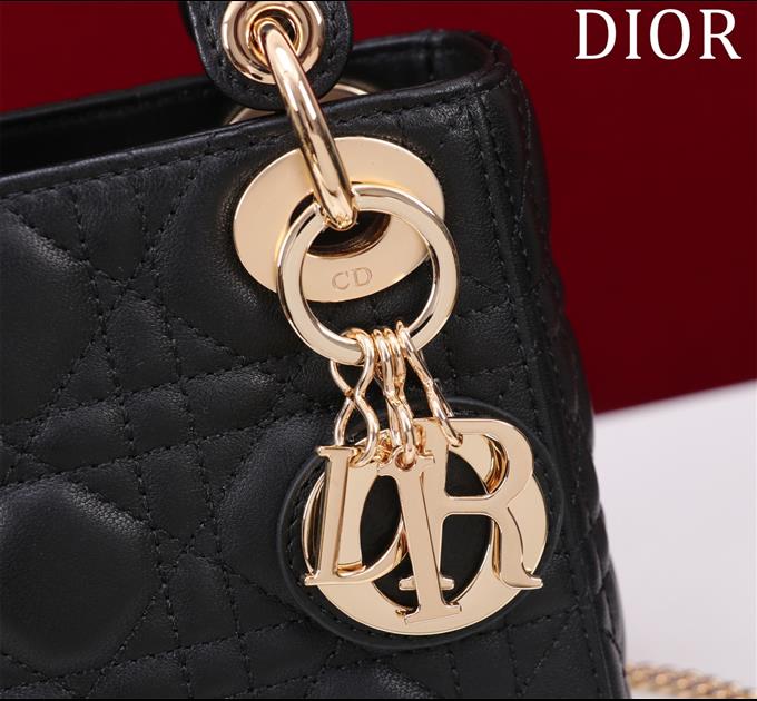 2025228Y600P205550745