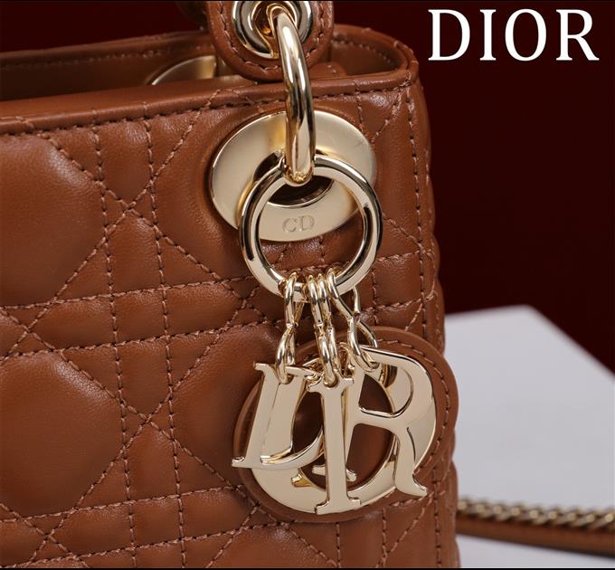 2025228Y600P205553625