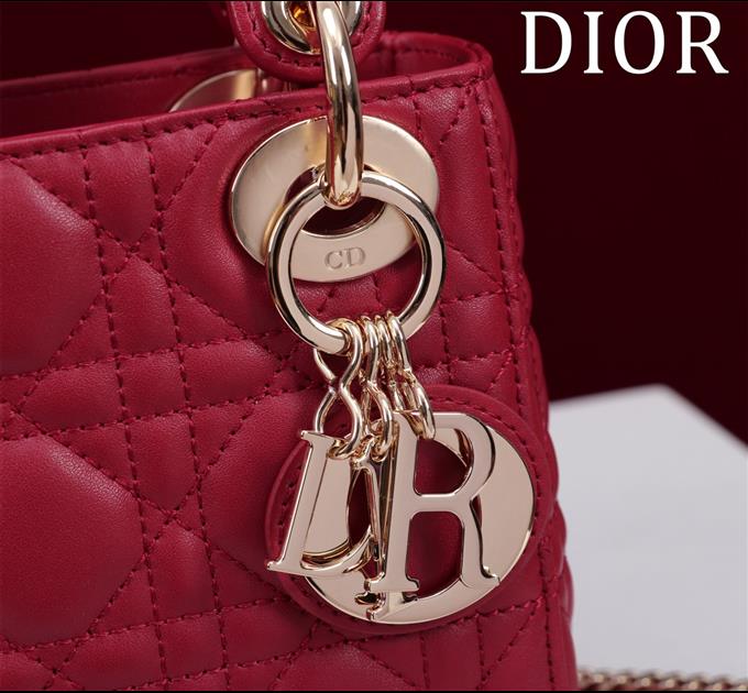 2025228Y600P205553766