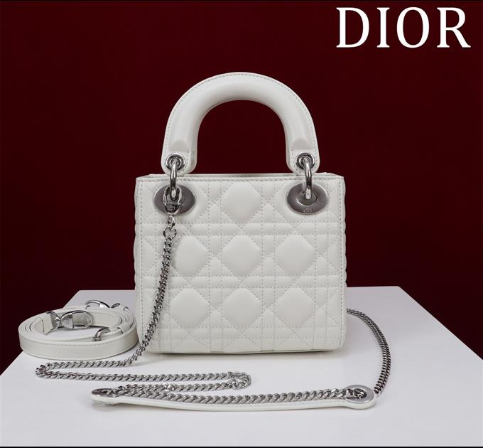 2025228Y600P205554255