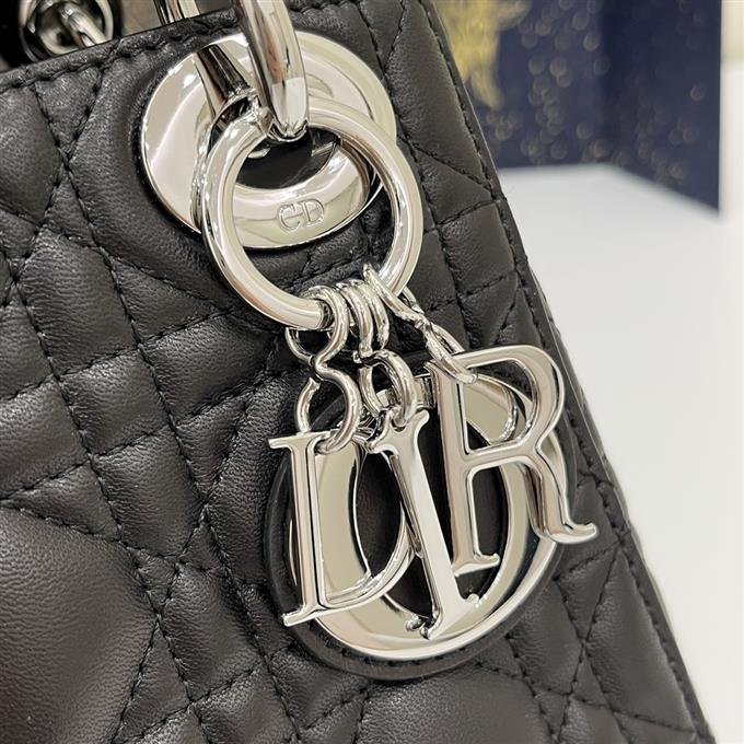 2025228Y600P205554394