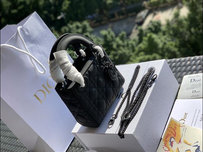 2025228Y900P205545744