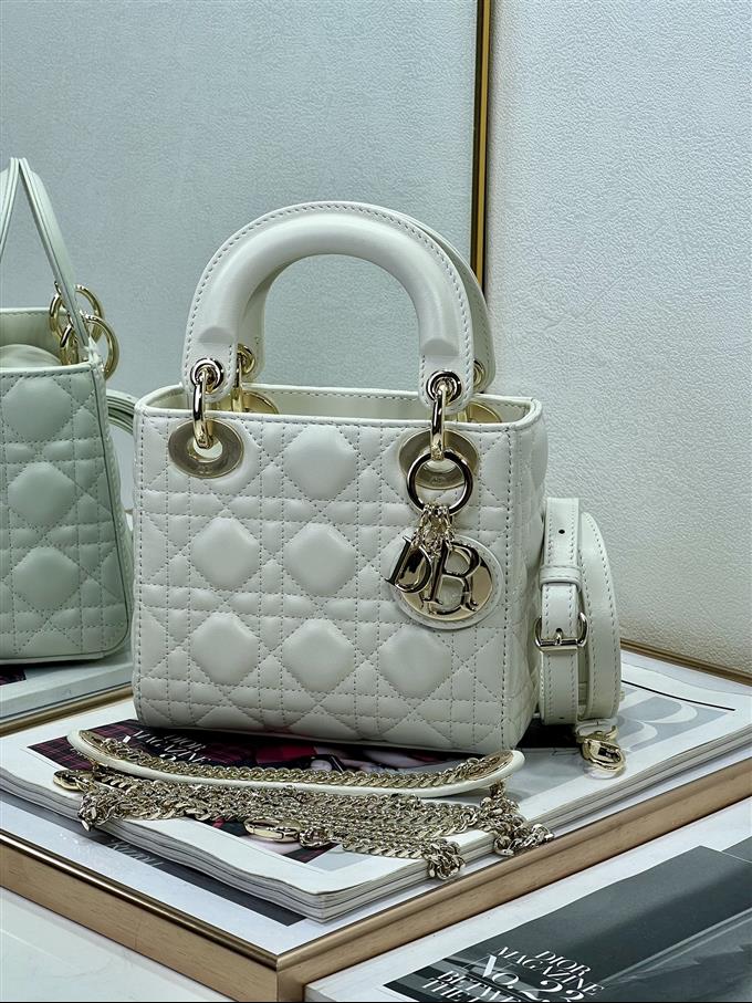 2025228Y600P212519108