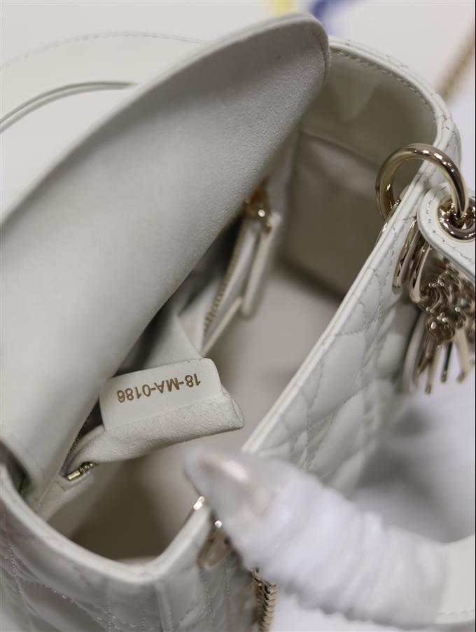 2025228Y600P212519609