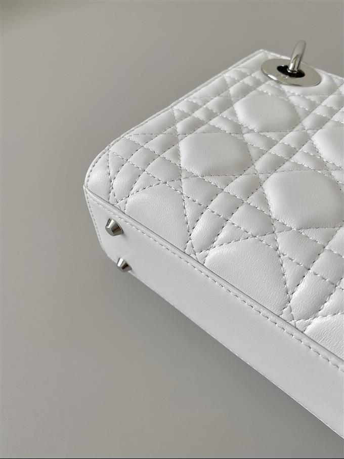 2025228Y600P212520516