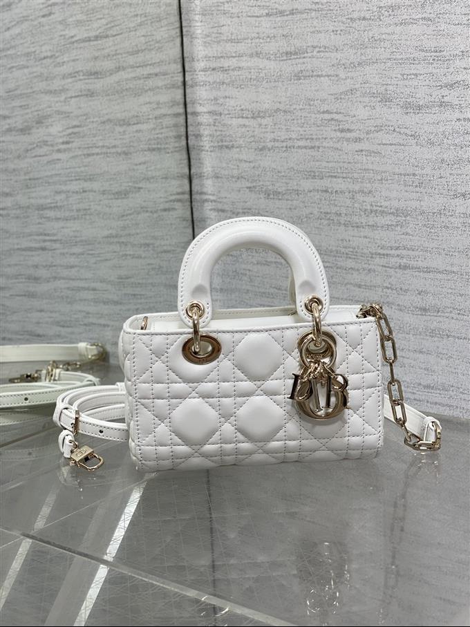 2025228Y620P212523525