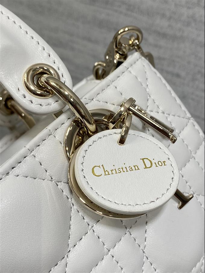 2025228Y620P212523556