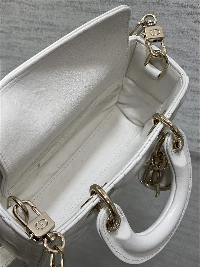 2025228Y620P212523619