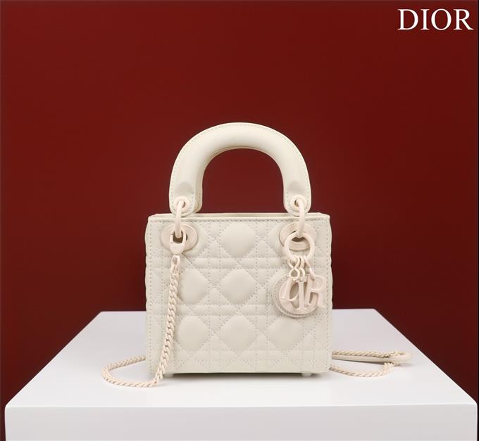 2025228Y650P20561760