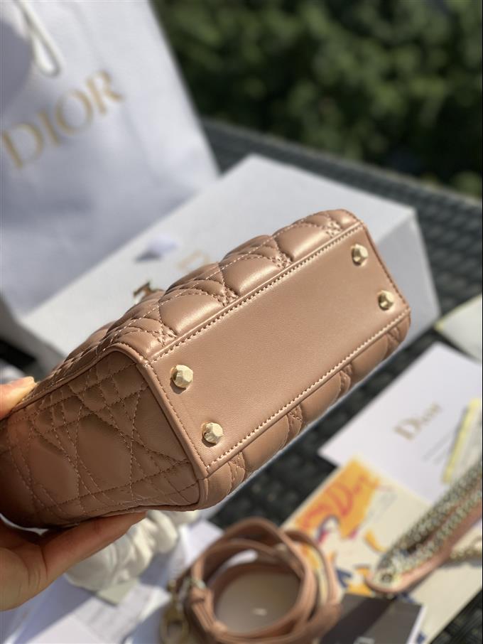 2025228Y900P211854546