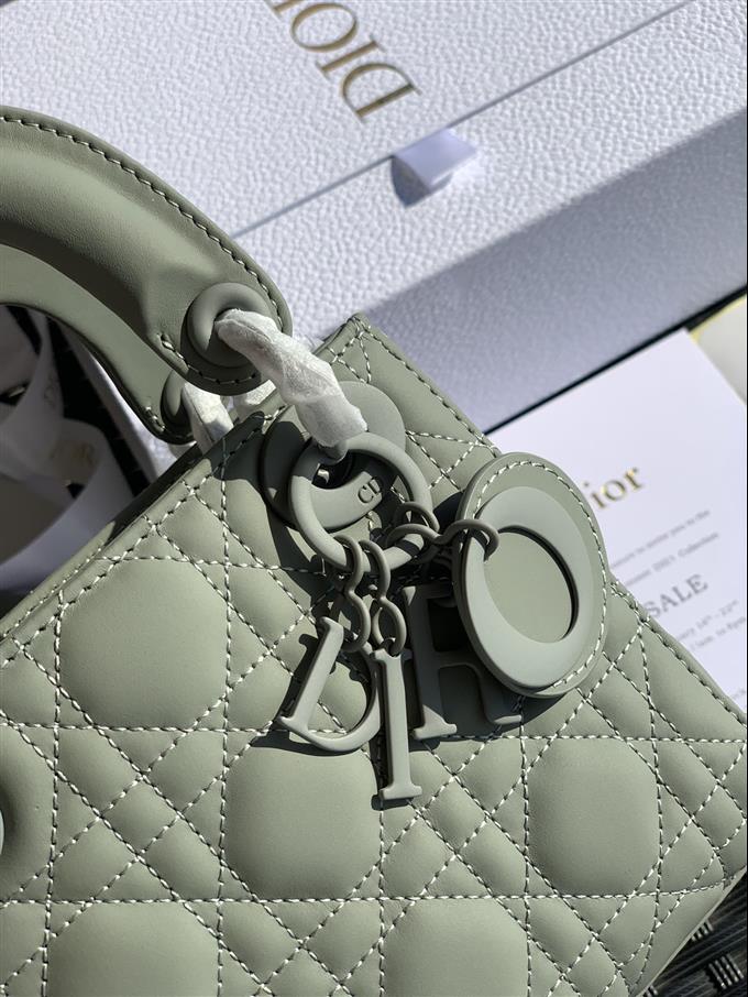 2025228Y900P221259502