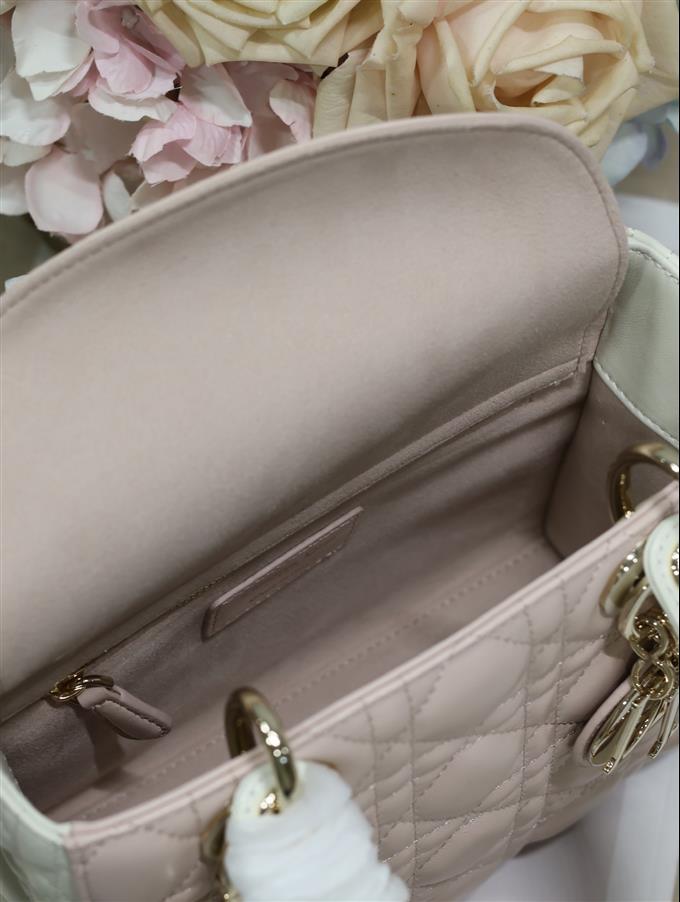 2025228Y750P211613544