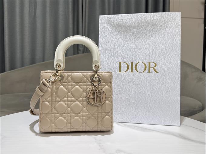 2025228Y750P211614909