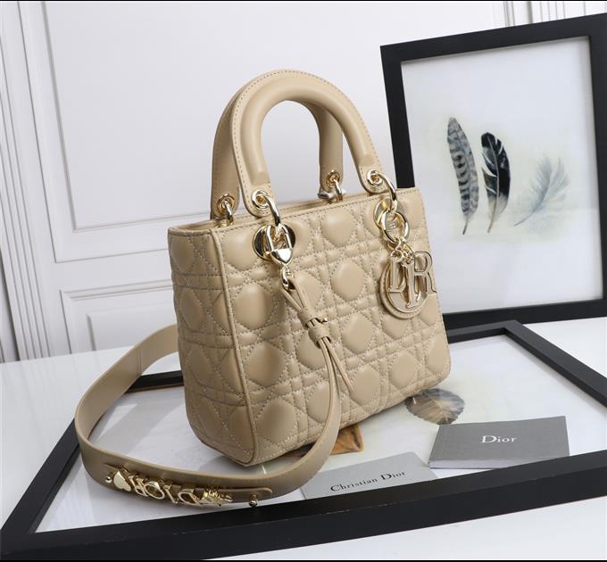 2025228Y750P222459543