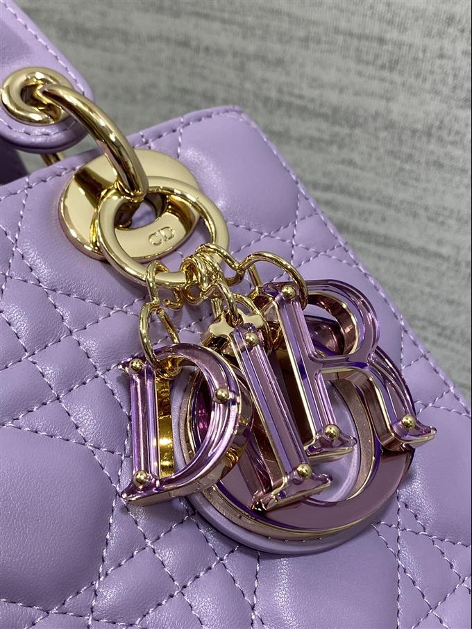 2025228Y800P211544710