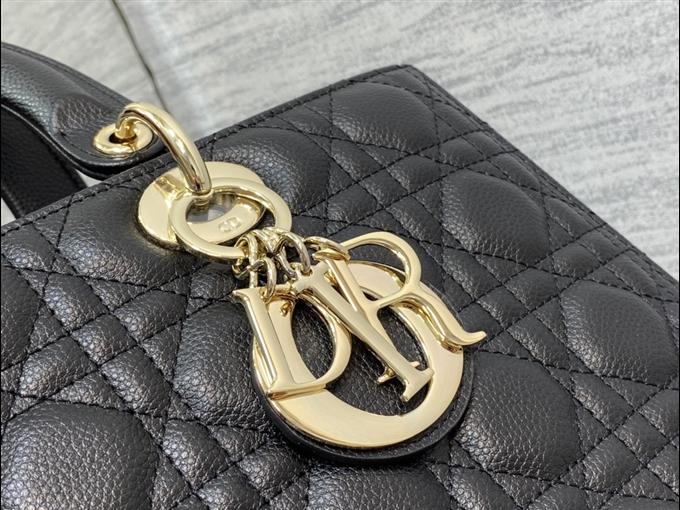 2025228Y880P205910251